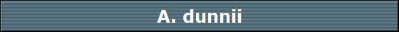 A. dunnii