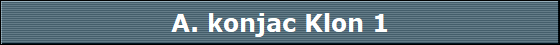 A. konjac Klon 1