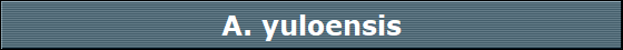A. yuloensis